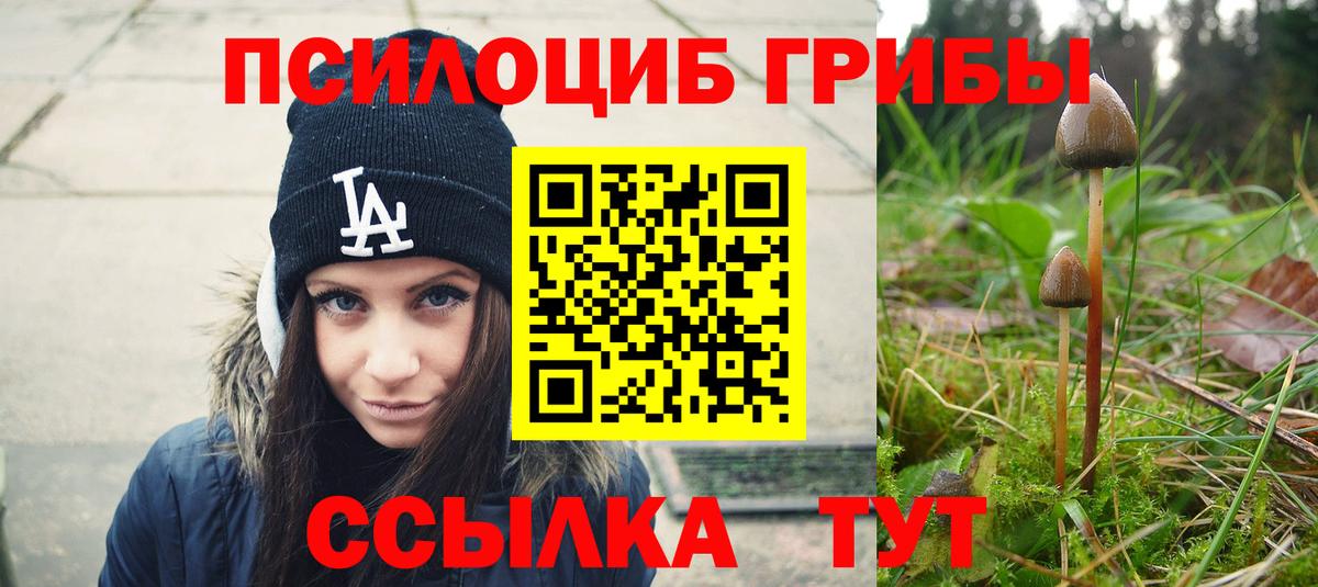 Галлюциногенные грибы Psilocybe Тольятти