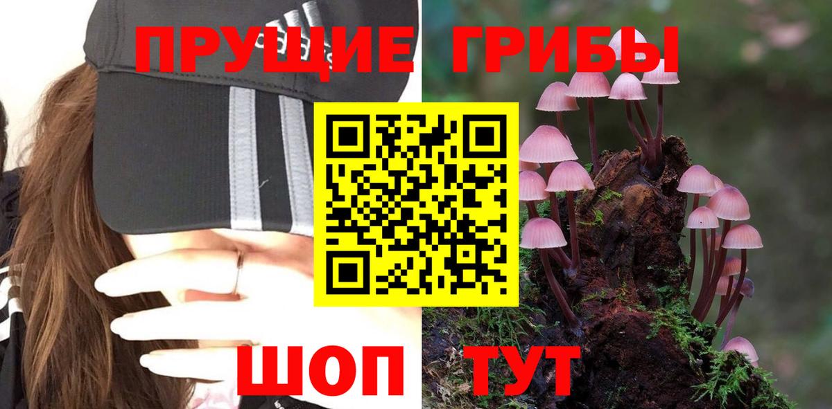 купить наркотик  Галлюциногенные грибы прущие грибы  Вход с VPN  Тольятти 